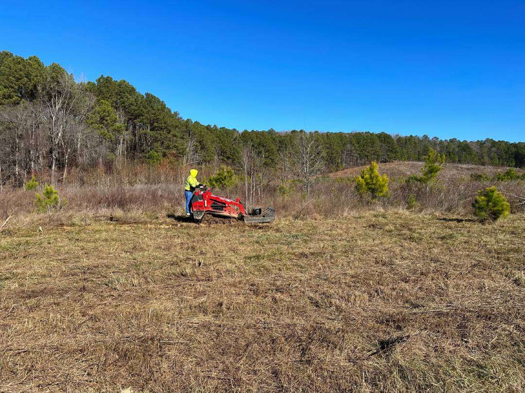 best brush removal services in north carolina