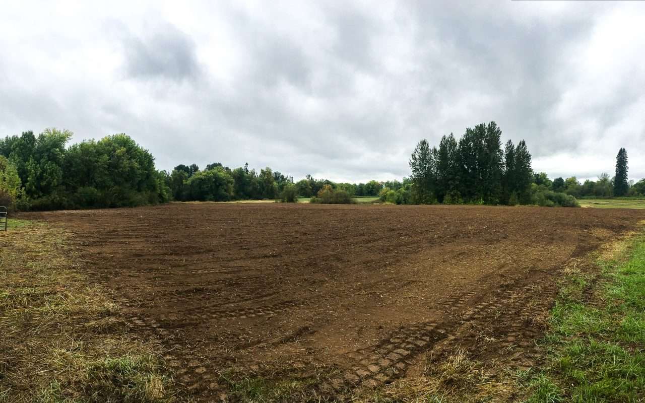 Land Clearing Fayetteville Nc