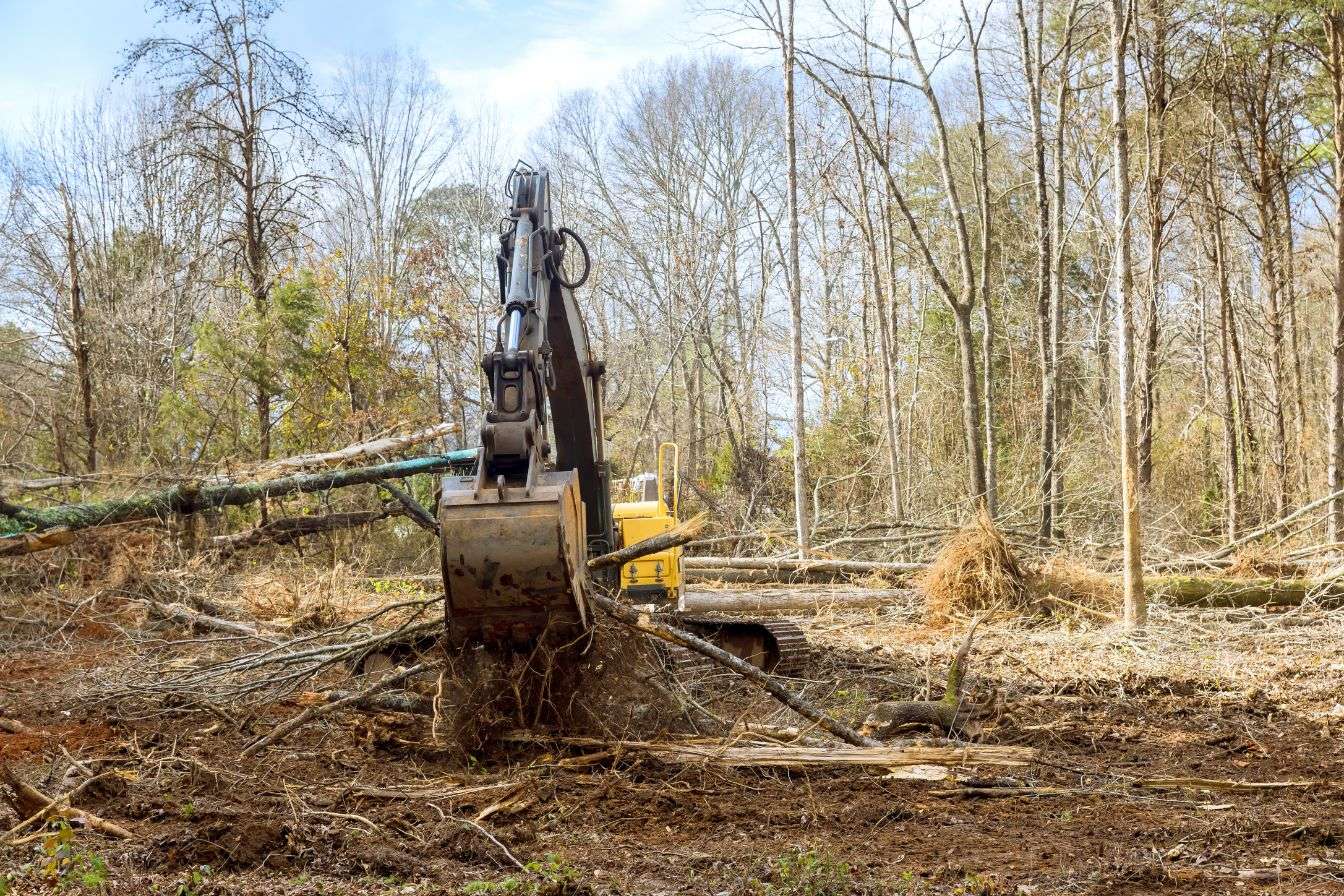 forestry mulching near me in north carolina