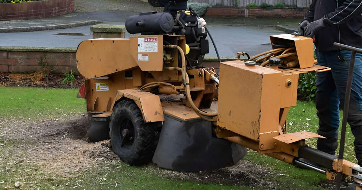 Integration of Land Clearing and Development