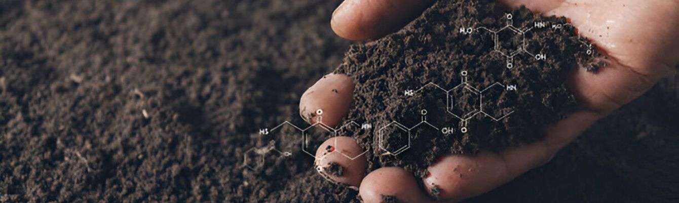 Soil Health Management in jacksonville