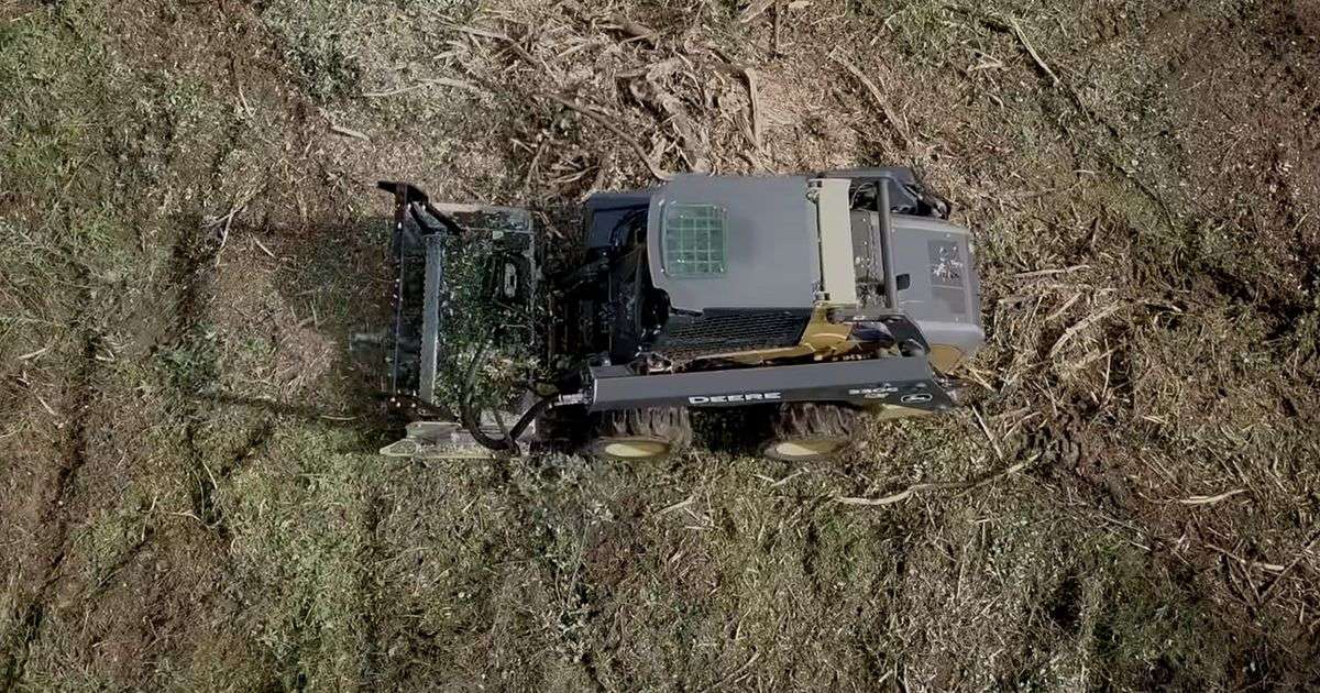 brush removal near me