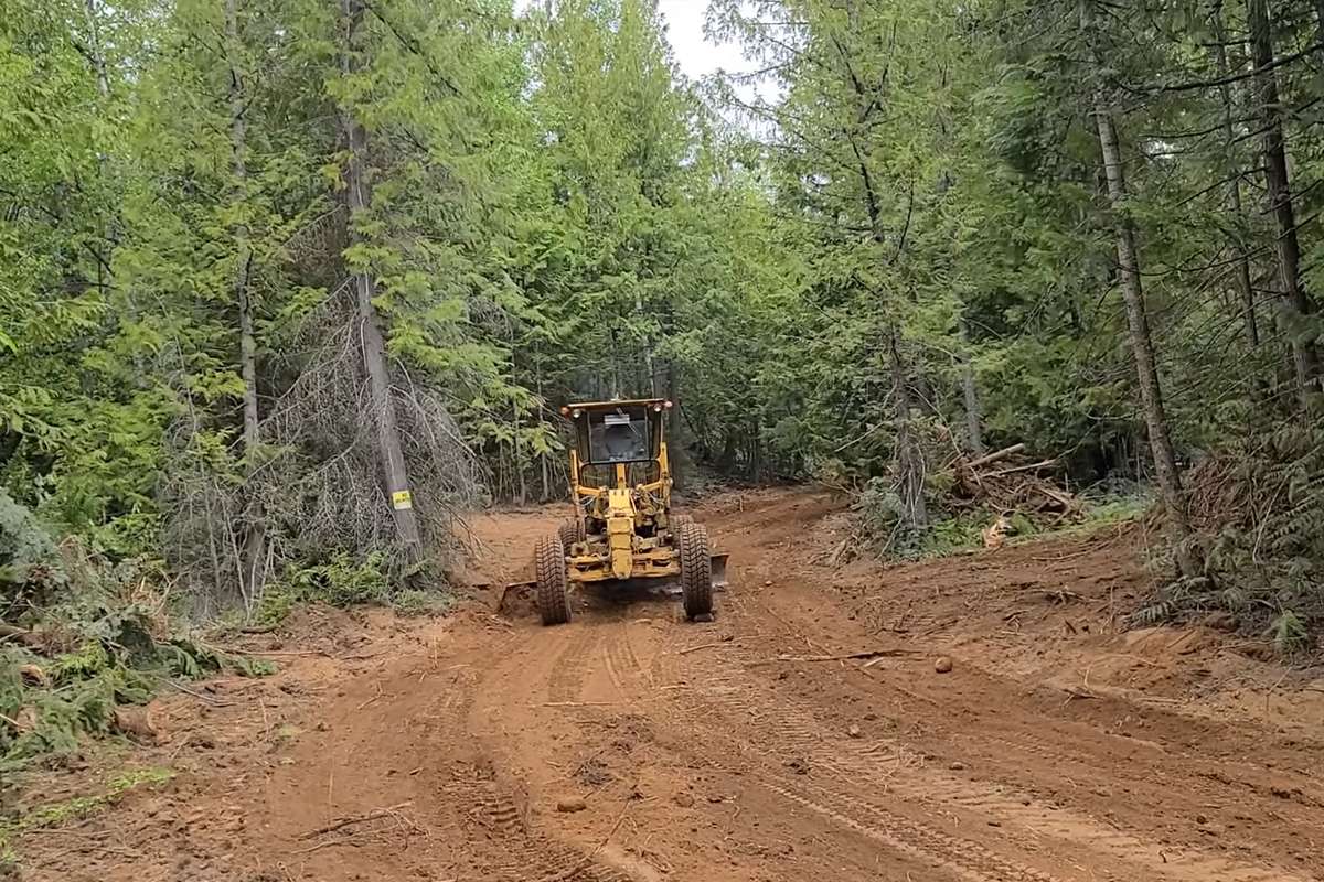 Expert Land Clearing Near you in Raleigh